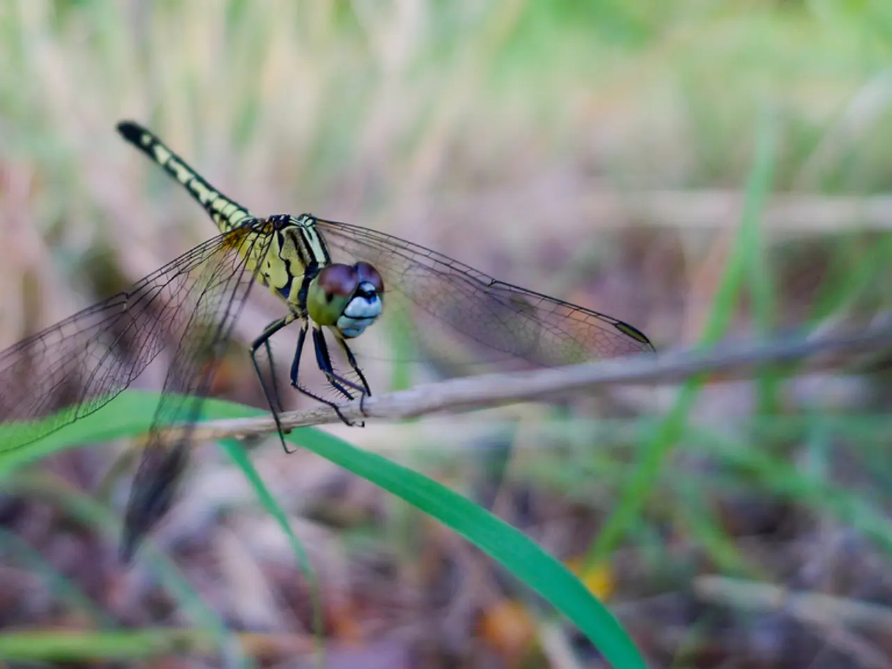 Live Steam Summer Sale 2025: Top 10 Favorite Deals, Including Dramatic Price Slash for Clair...