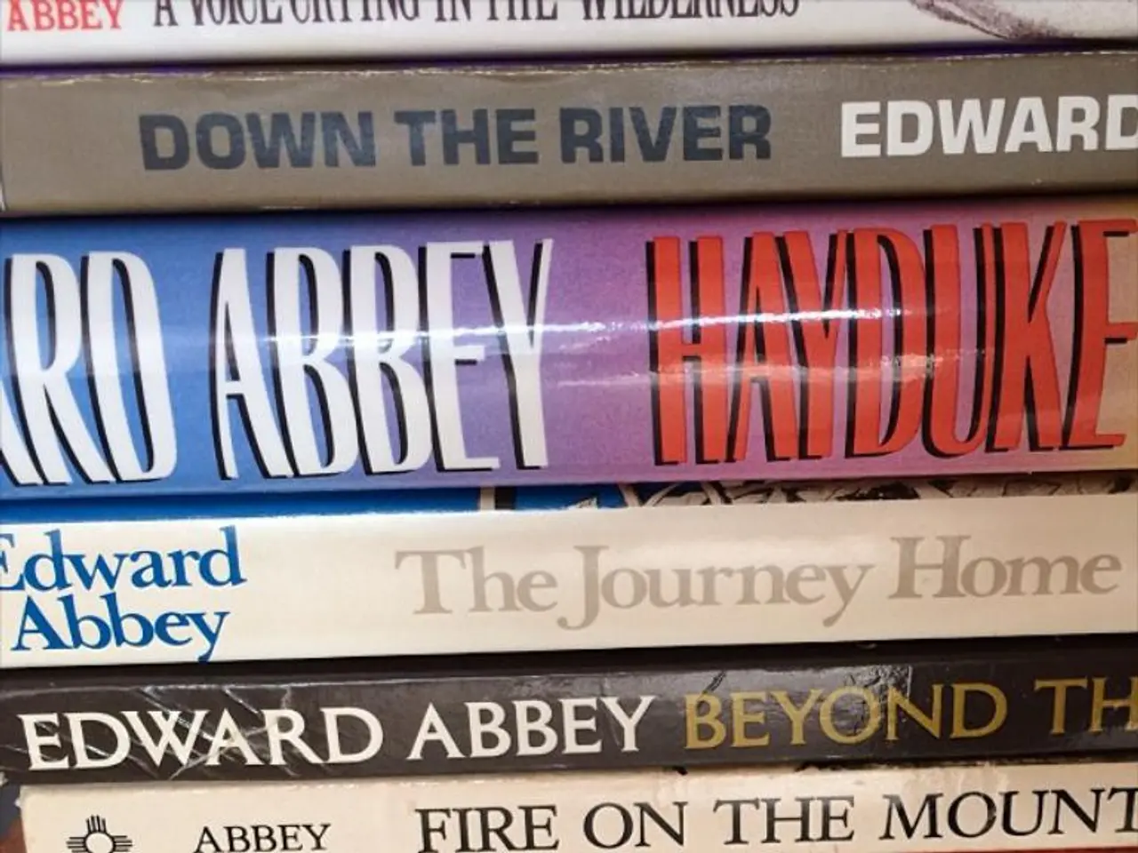 Interconnections in philosophy and physics: highlighting the concept of synchronicity