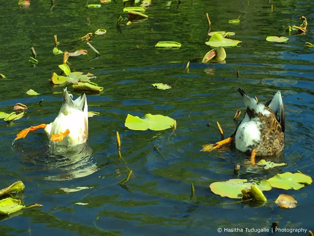 Exploring the Animal Kingdom: Insights into Fauna