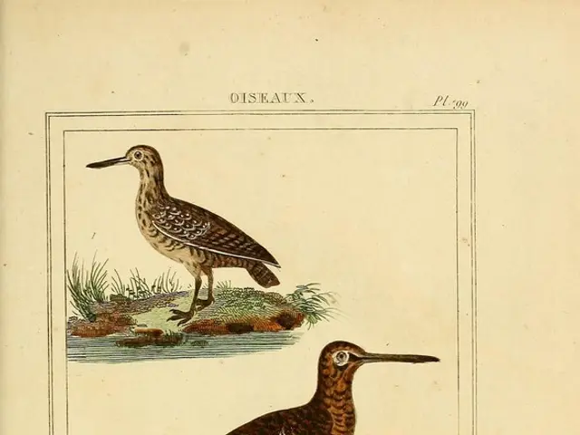 Researchers Announce Revolutionary Strategy for Reanimating a Colossal, Reptile-like Creature Akin...