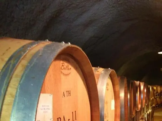 Hackers Utilize Domain Name System (DNS) Inquiries for Command and Control (C2) Actions and...