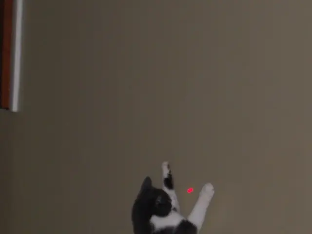 Santec A unveils SLM-310, an LCOS-based spatial light modulator, designed for 1-kilowatt...