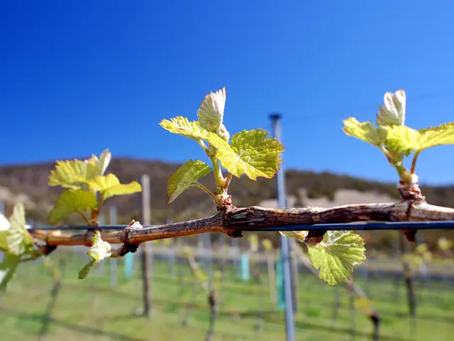 Strategies for Strengthening Your Defenses Against Ransomware Intrusions (7 Methods)