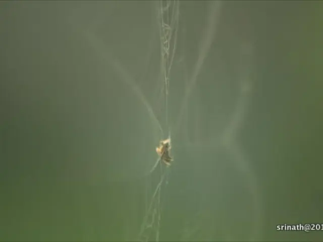 Chrome to Label All Text Input Websites as "Not Secure" Starting in October