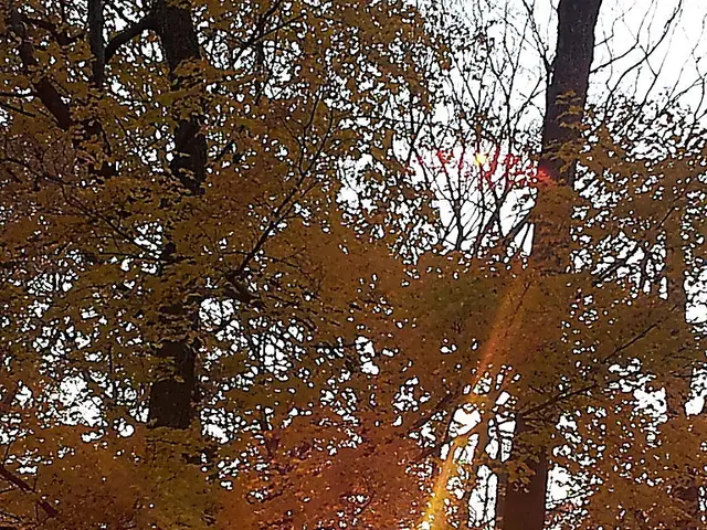 Creating the Sun in Little Alchemy: Strategies and Guidelines