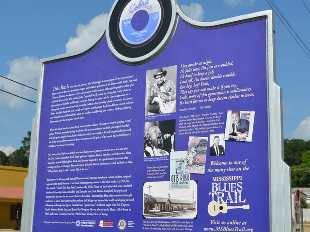 Navigating IT Security: Achieving a Balance between Data Privacy and Cyberfortitude in an Intricate...