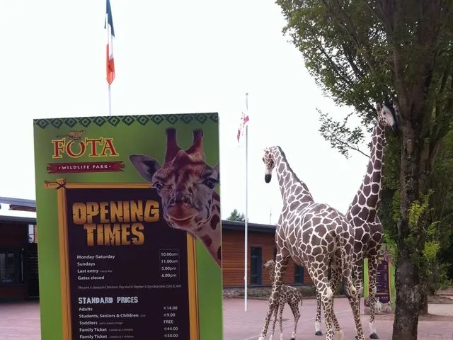 Massive giraffes are inundating the city's harbor with their hugeness.