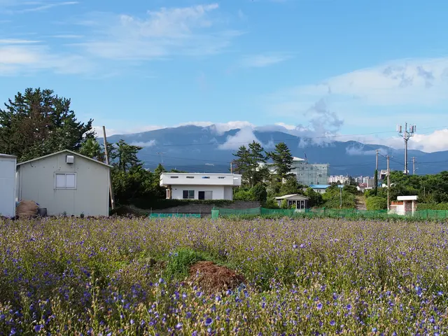 Winter's Top Solar Energy Generator: Unveiling the Leading Solar Power Plant