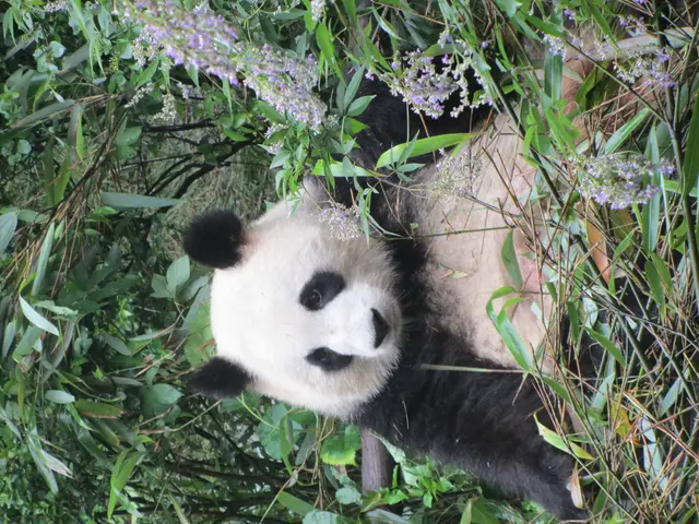 Transform Data with Efficiency Using These Top Three Techniques in Pandas