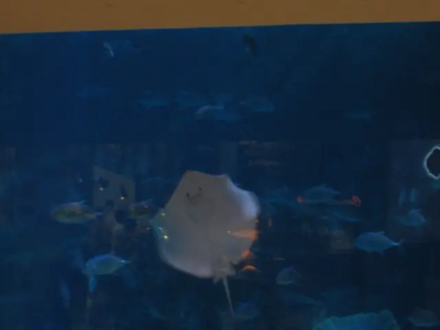 The collaboration between Animal Crossing: New Horizons and aquariums broadens, encompassing a...