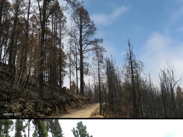 Geospatial Data Exploration in November's Issue