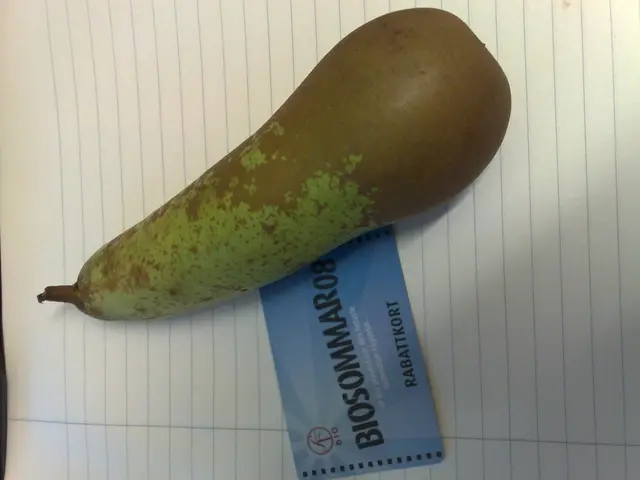 Malware spread across multiple platforms, disseminated through 11 corrupt Go packages and npm...