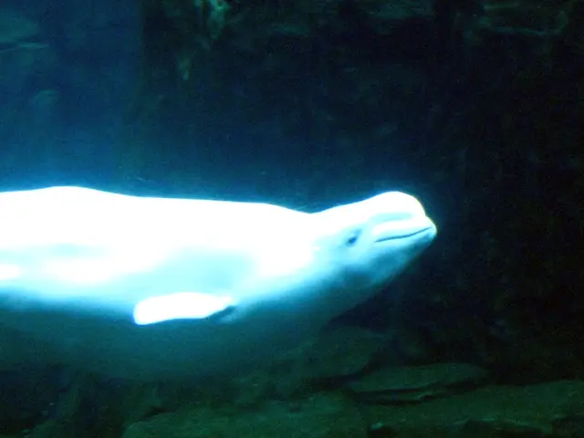 Home Evaluation: Nauticam NA-D7100 Housing Solution