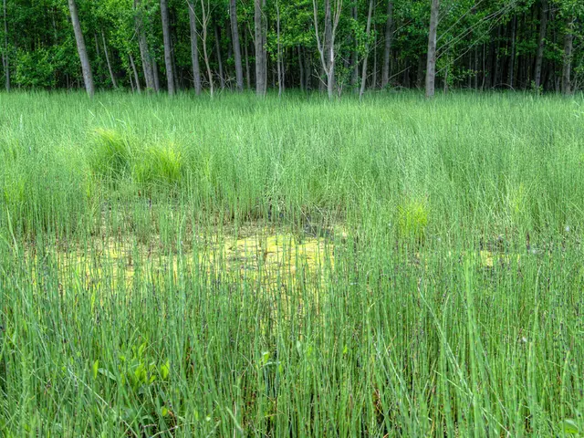 FarmOp Capital Acquires $250 Million Investment from Carlyle to Amplify Agricultural Financing for...