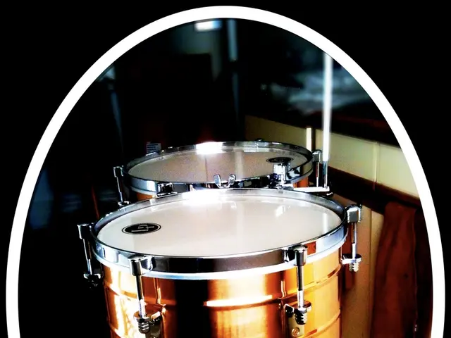 Exploring the Warm Tones and Distinct Characteristics of Analog Synthesizers