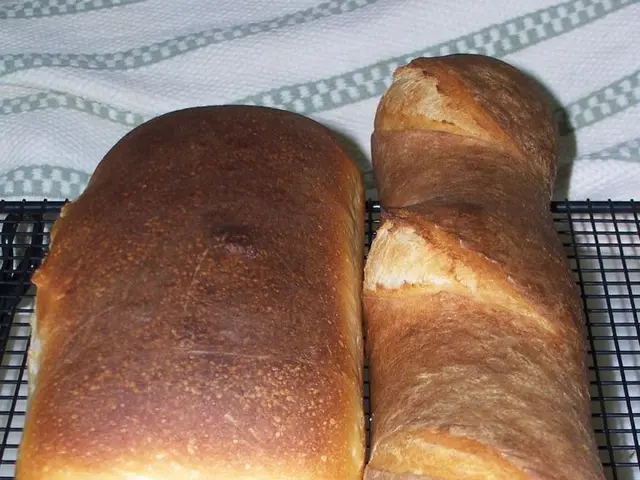 Practical Guidelines for Local Handling and Oversight of Anaerobic Digester Installations