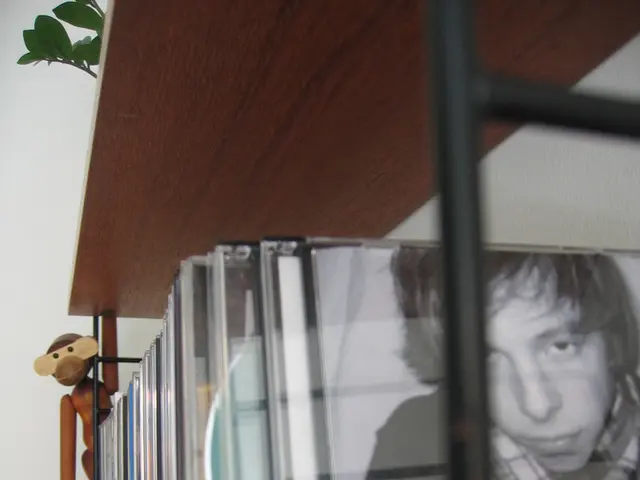 Encoding Techniques: Erasure Coding Examination