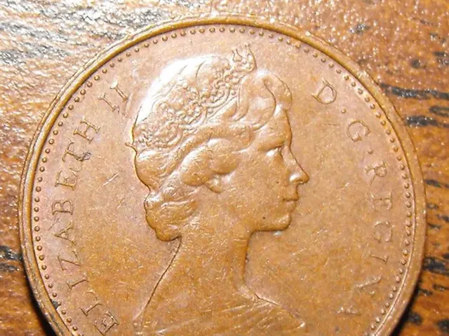 Tracking Whale Wallets: A Guide Using Arkham Intelligence for Monitoring Crypto's High Rollers