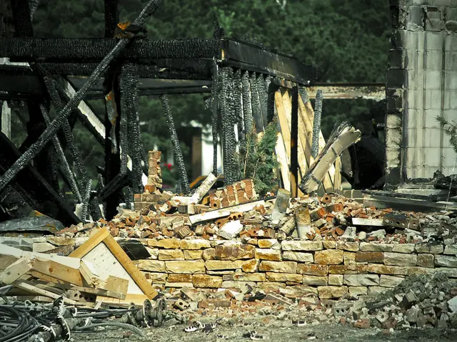 World's oldest photo, 'Monkey Christ,' revived by AI technology in current times