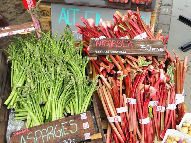 Record-breaking sales of CDR credit fueling market expansion in the year 2025, boosting overall...