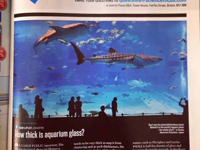 Senate legislation targets Salt Typhoon, proposed changes in the Office of Director of National...