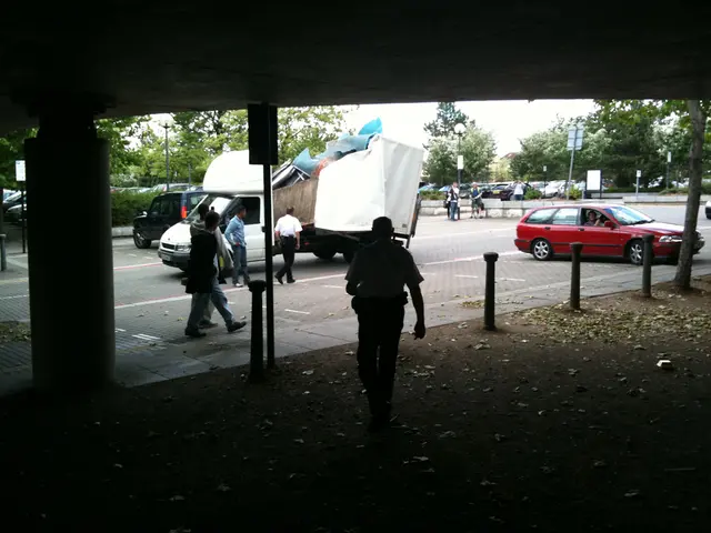 Policies for Lowering Carbon Emissions in Rapidly Growing Nations' Transport Sectors