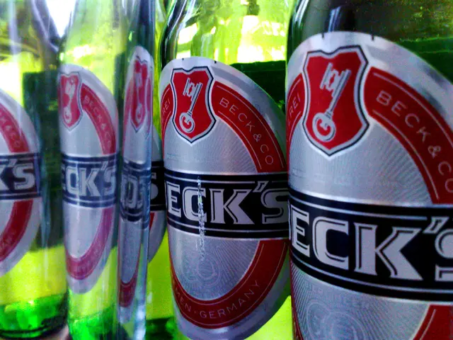 Discussion centered on hydrogen-based economy in northern Germany