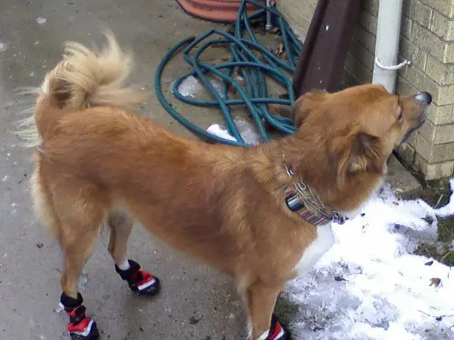 Participate in Confidence in 2025's Authentic Crypto Mining: Register for Gratis Bitcoin and...