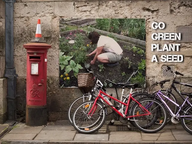 Law enforcement is making efforts to seize the bicycles.