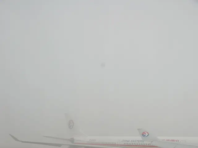 Air Transport Sector Optimization Measures Implemented by the Commission