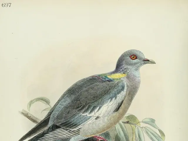 Steam ceases to offer support for 32-bit Windows 10 versions as of January 1.