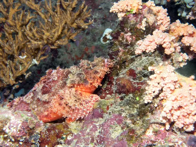 Below the ocean's depth of 4,000 meters, researchers discovered the awe-inspiring 'Dark Oxygen'