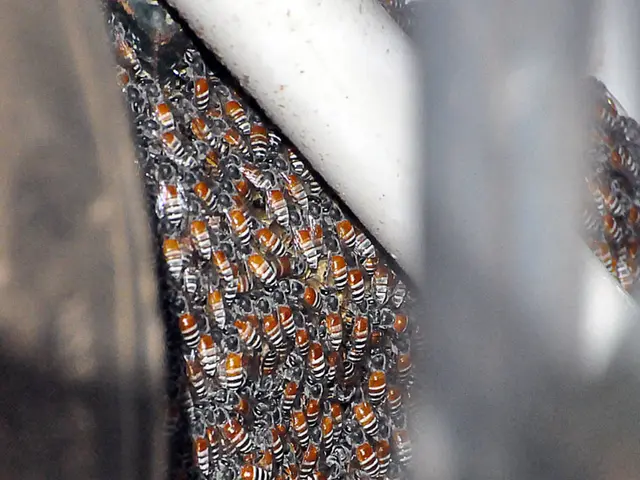 Smarten up your home's climate with top-rated thermostats available on Amazon, ensuring optimal...