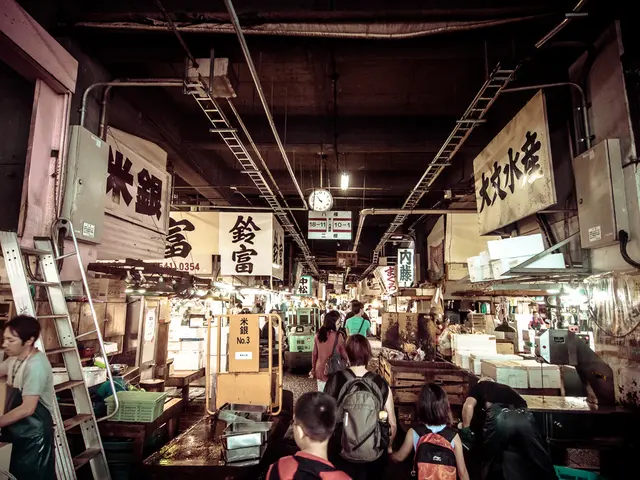 Guidelinefor Optimizing Digital Display Systems