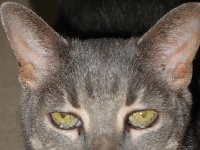 Crypto Investment Trust by Grayscale, Focused on Five Digital Currencies, Commences Trading on NYSE...