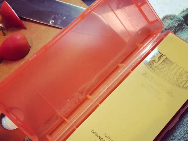 Team Cherry introduced the initial area in Silksong with the intention to create a more welcoming...