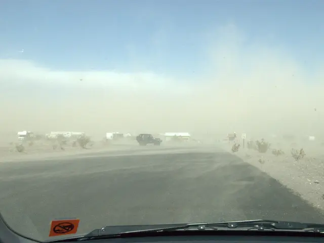 In this image we can see sky with clouds, motor vehicles, bushes and road through a vehicle's...