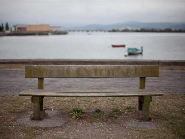 In this image I can see few trees, buildings, mountains, bench, sky and few boats on the...