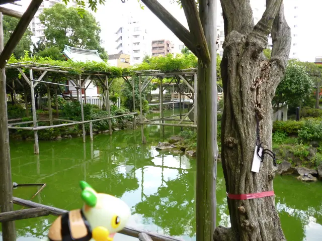 This picture is clicked outside. In the foreground we can see the bamboo. In the center there is a...