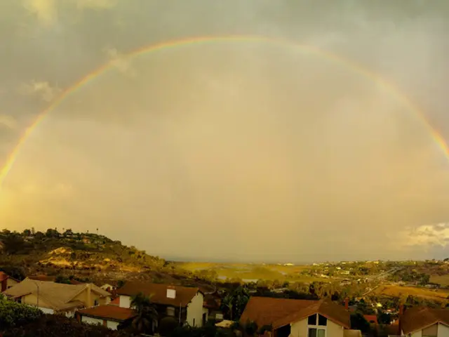 In the center of the image we can see the sky, clouds, trees, buildings, windows and a few other...