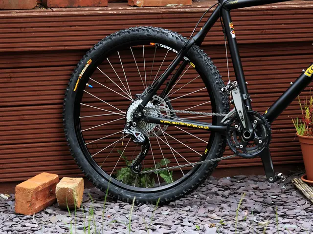 In this image there are bricks, rocks, plants, wall and bicycle.