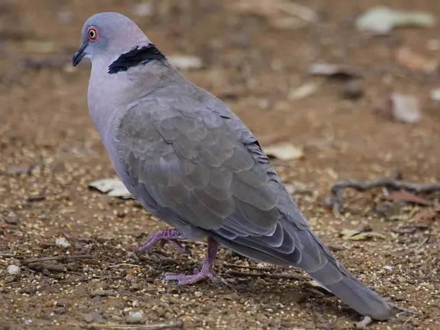 In the center of the image, we can see a bird on the ground and there are twigs.