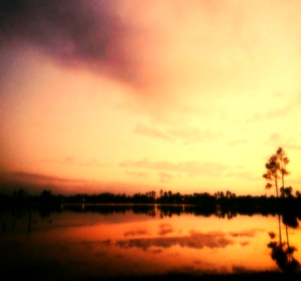 Smartphones, our constant devices of digital manipulation, are consistently fine-tuned. Life's...